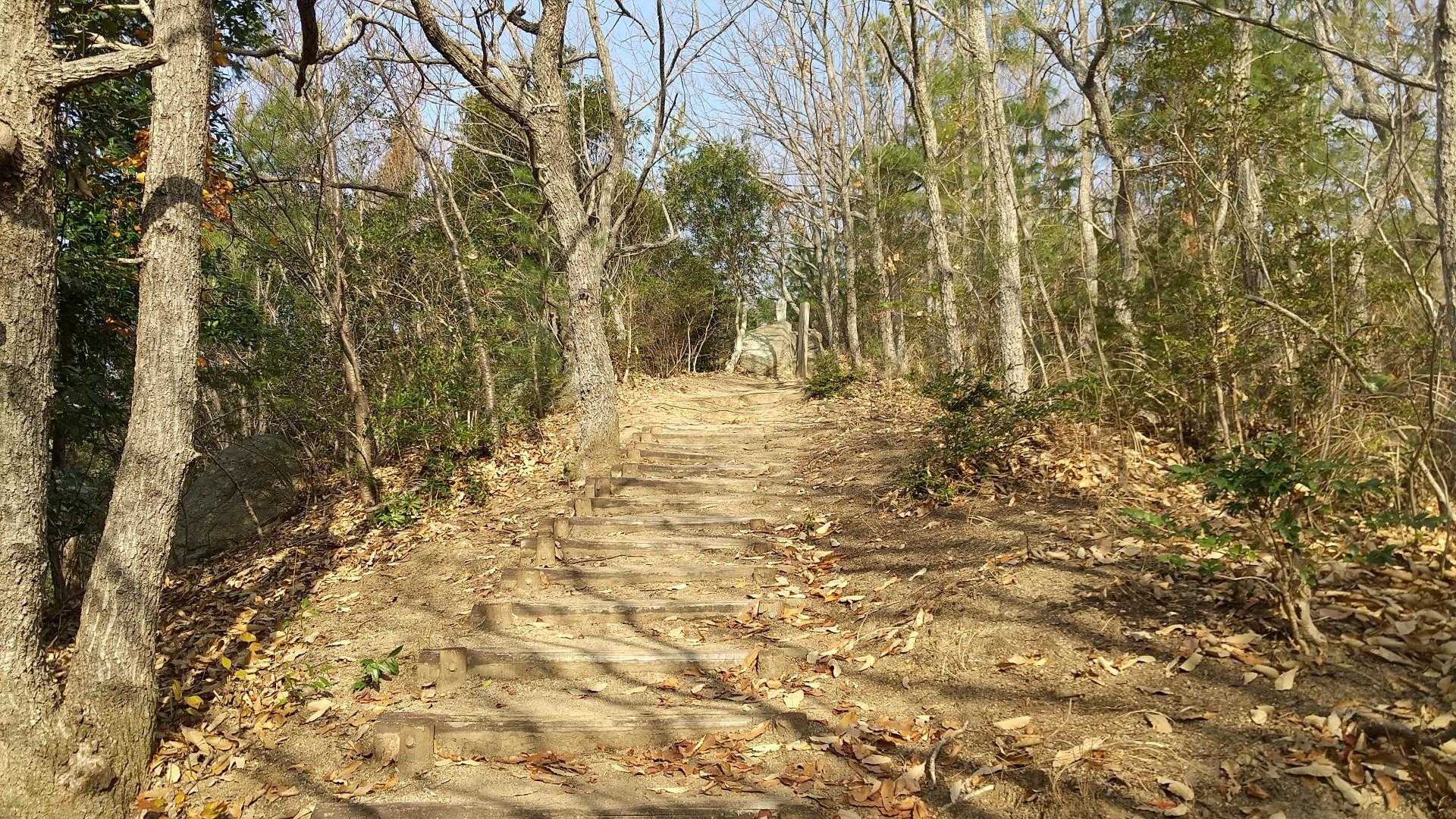 開けた道が続きます
