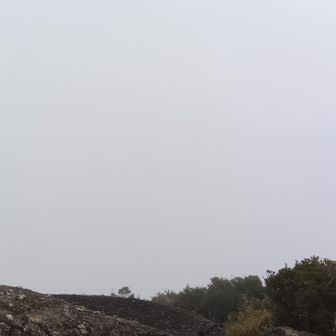 山頂からの景色は見れませんでした