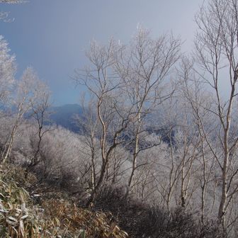まっしろしろだ💕