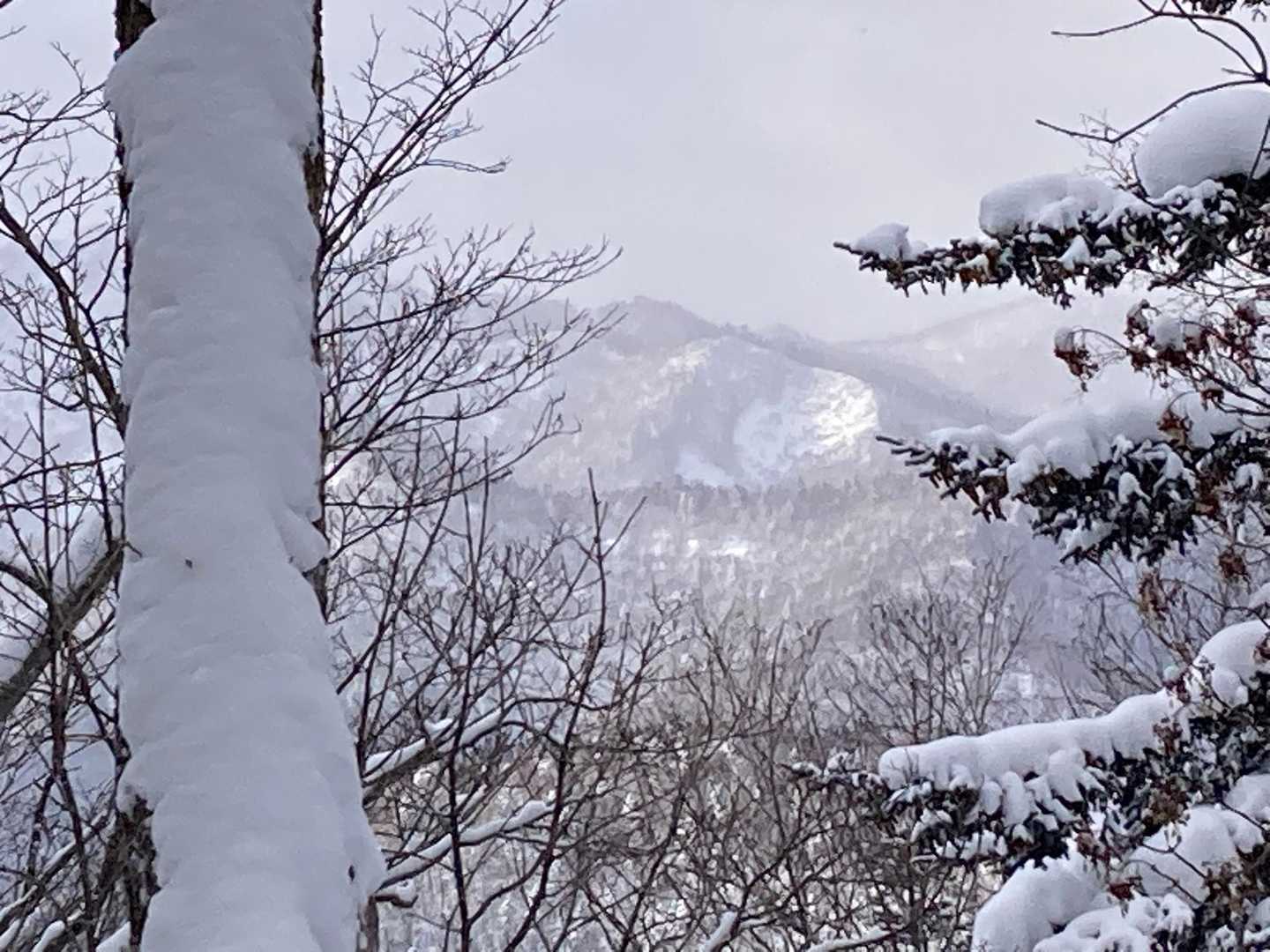 木の間からようやく景色が垣間見える。