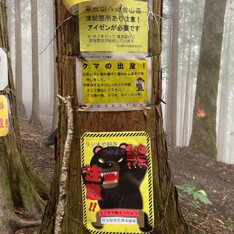 ここも熊出没注意です。昨今の熊問題には困ったものです。