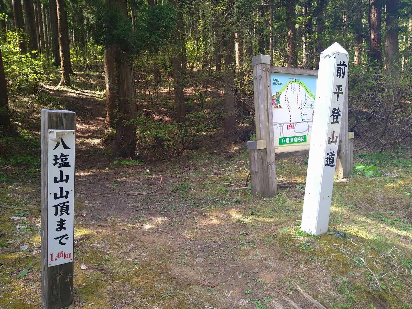 ここに下山して…道路を歩く🎵
めちゃめちゃ車多い💦💦