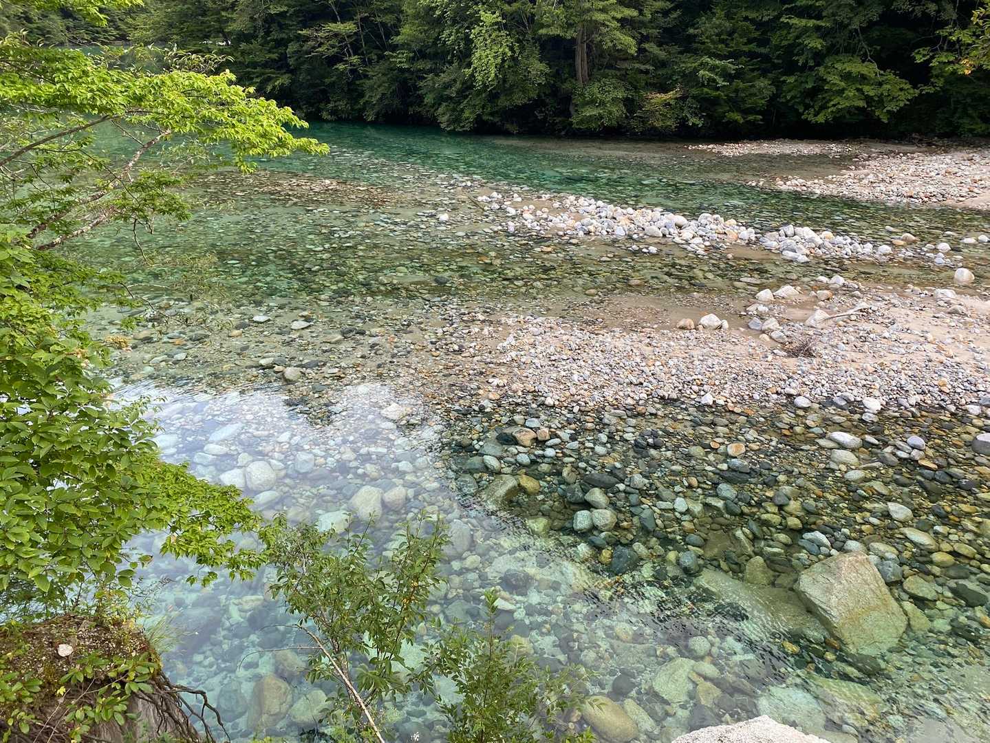 ダム湖の透明度がすごい