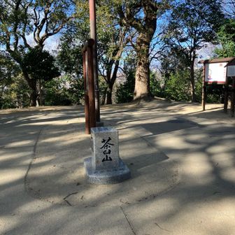 厳冬期単独無酸素無補給無犬登頂