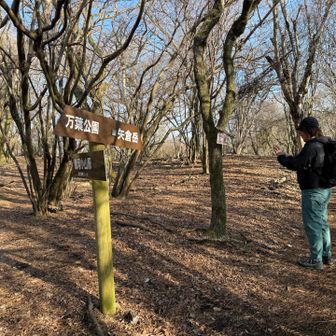 沢山の道標あるよ！