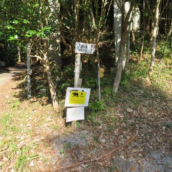 熊注意の看板