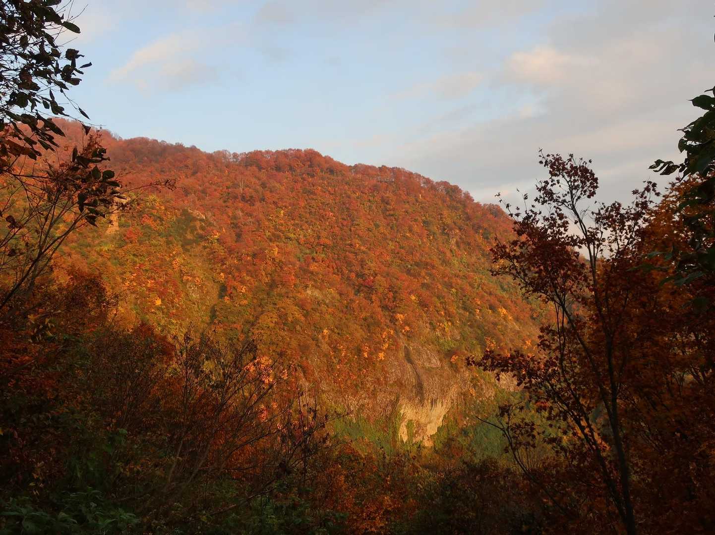 柵口登山口の写真