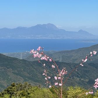 倉岳山頂からは普賢岳が見える。
