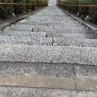 ここから降ります。