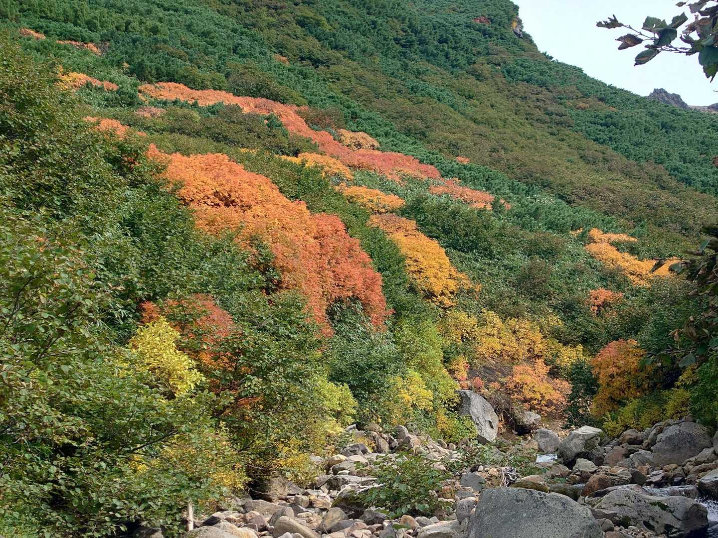 ポンピ沢の紅葉