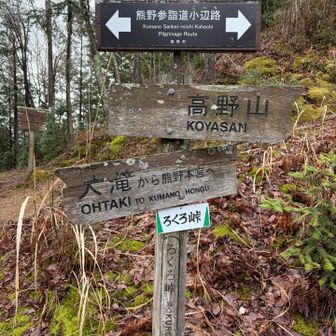 大滝口女人堂跡(轆轤峠)
昨日歩いた女人道とも重なる道
押印スタンプ有