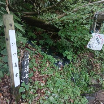 コバ清水　貴重な水場ありがたや