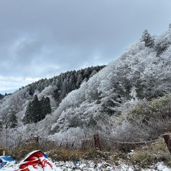 この景色が見えて…良かった。
