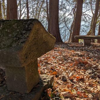 二つ目石尊山。木漏れ陽のベンチ。