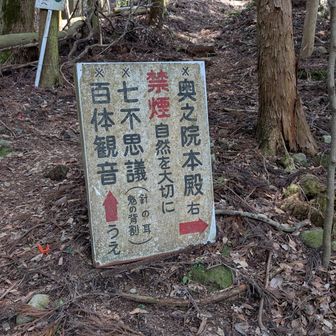 奥の院本殿方向へ進み