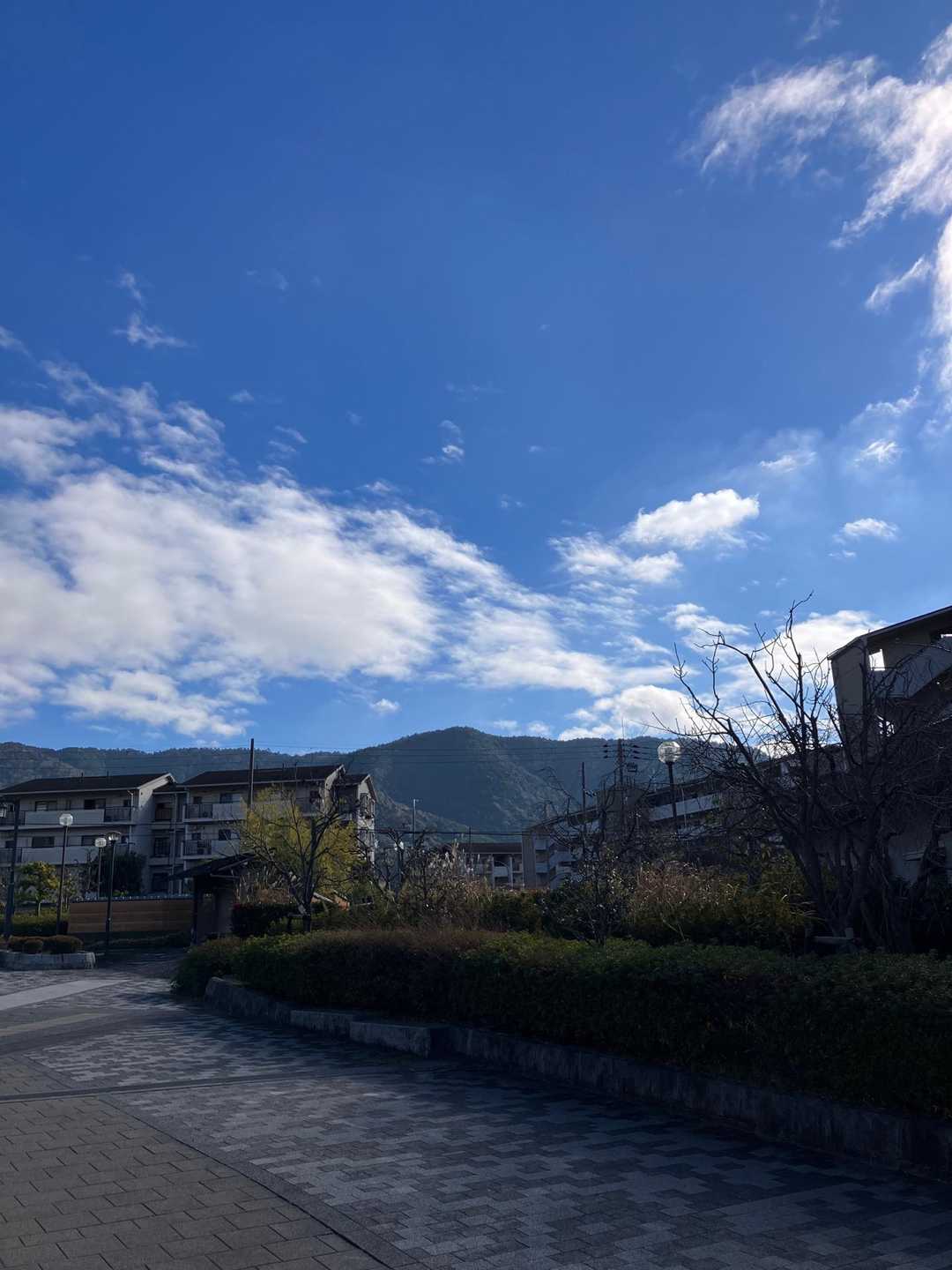 醍醐駅のアルプラザよりアチラの醍醐山へ！
パッと見は大した事なさそうな感じやけど、ひたすら階段登りが続きます💦