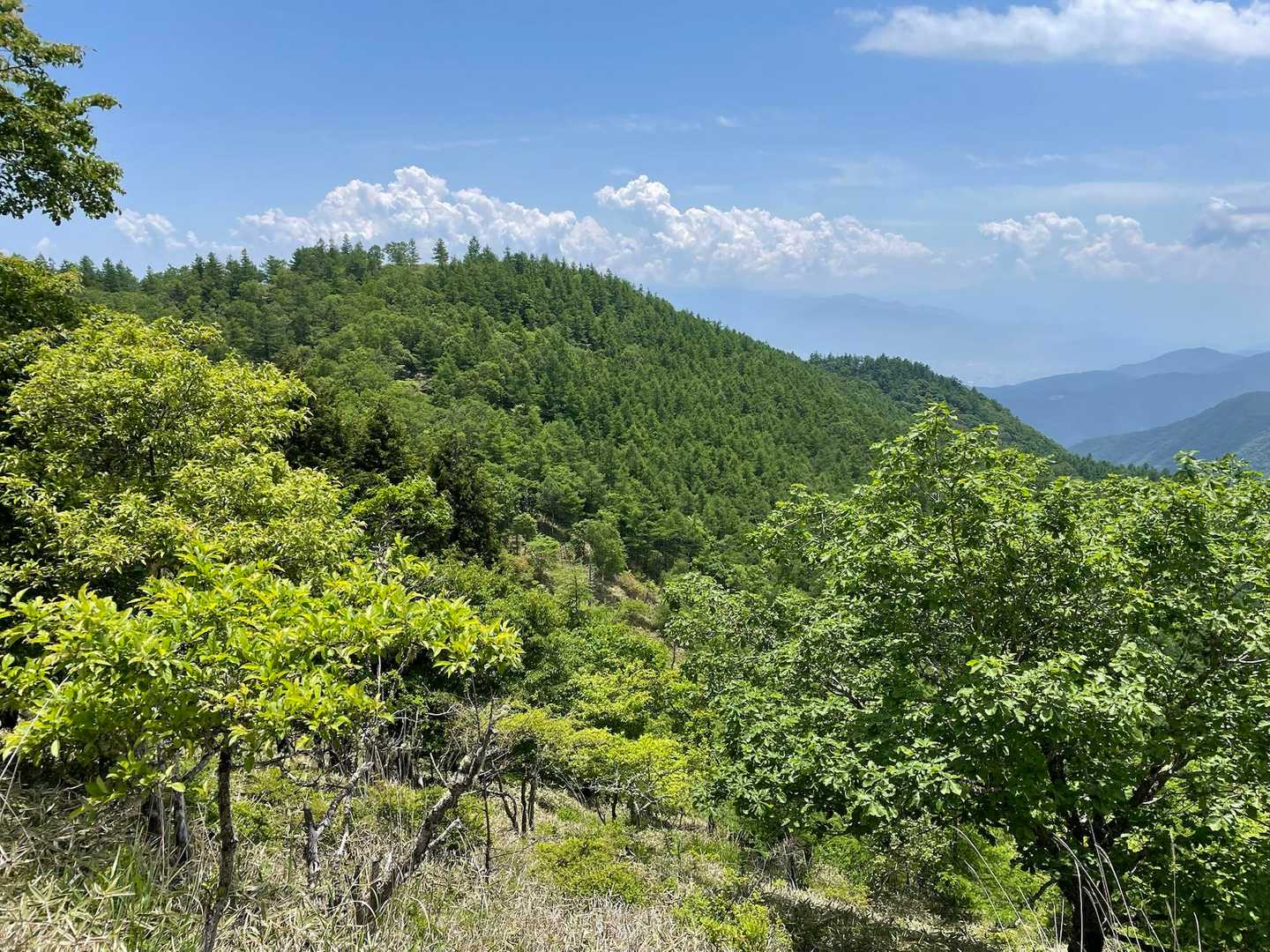 甘利山登山口-甘利山 往復コースの写真