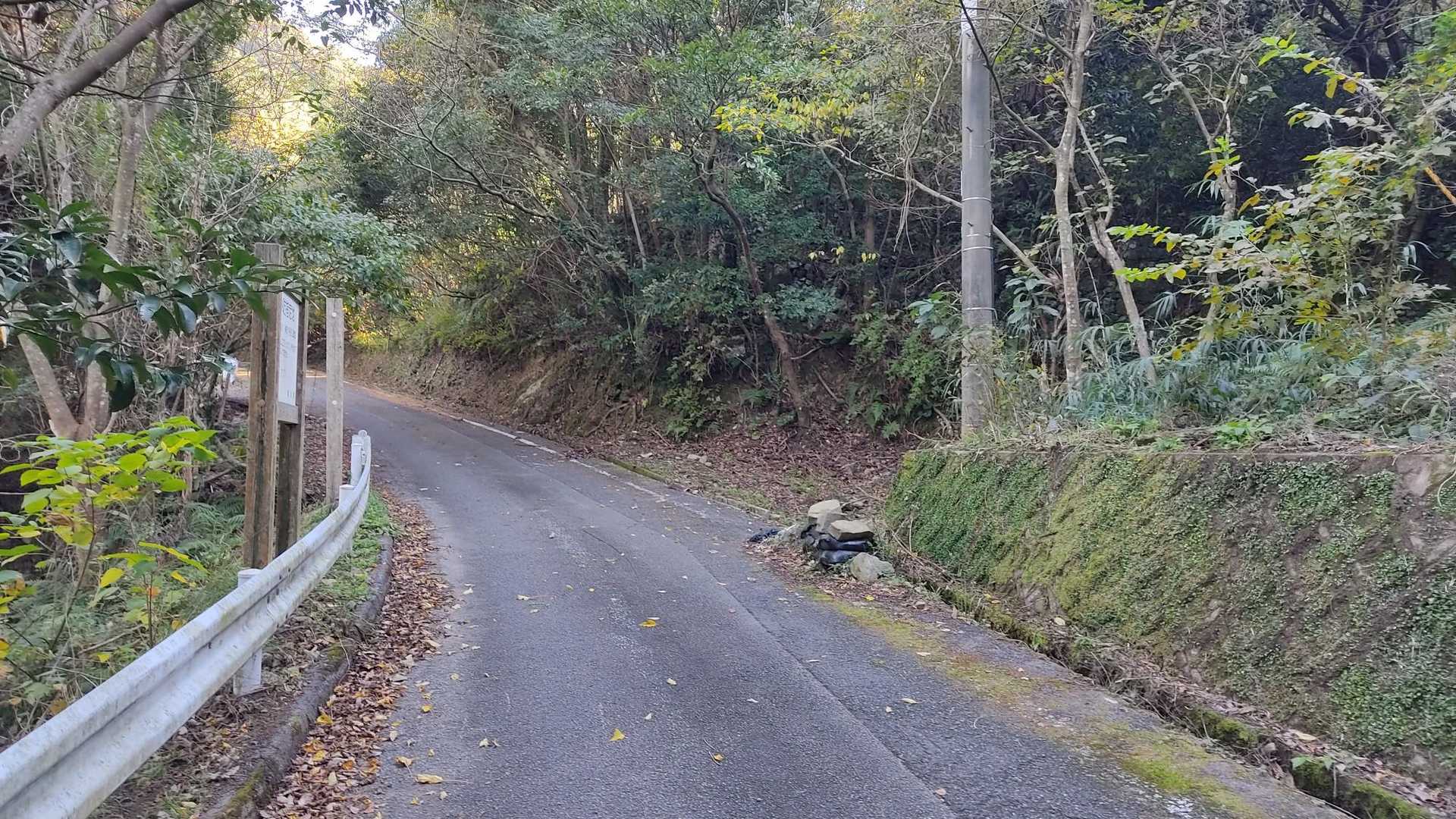 最初から最後まで、こんな道です。