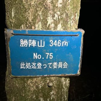 勝陣山は縦走路から逸れて6分くらい歩いた所にある山。
ここは完ピスせずに往路だけ♪