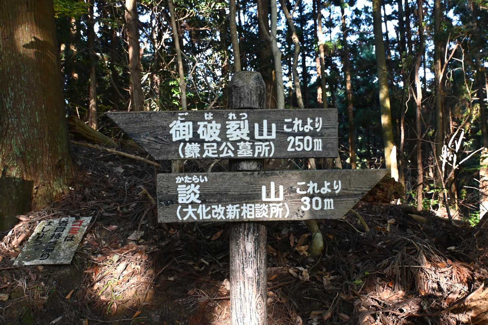大化改新相談所ってすごい