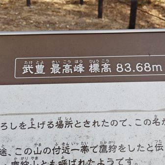 タケユタカ最高峰