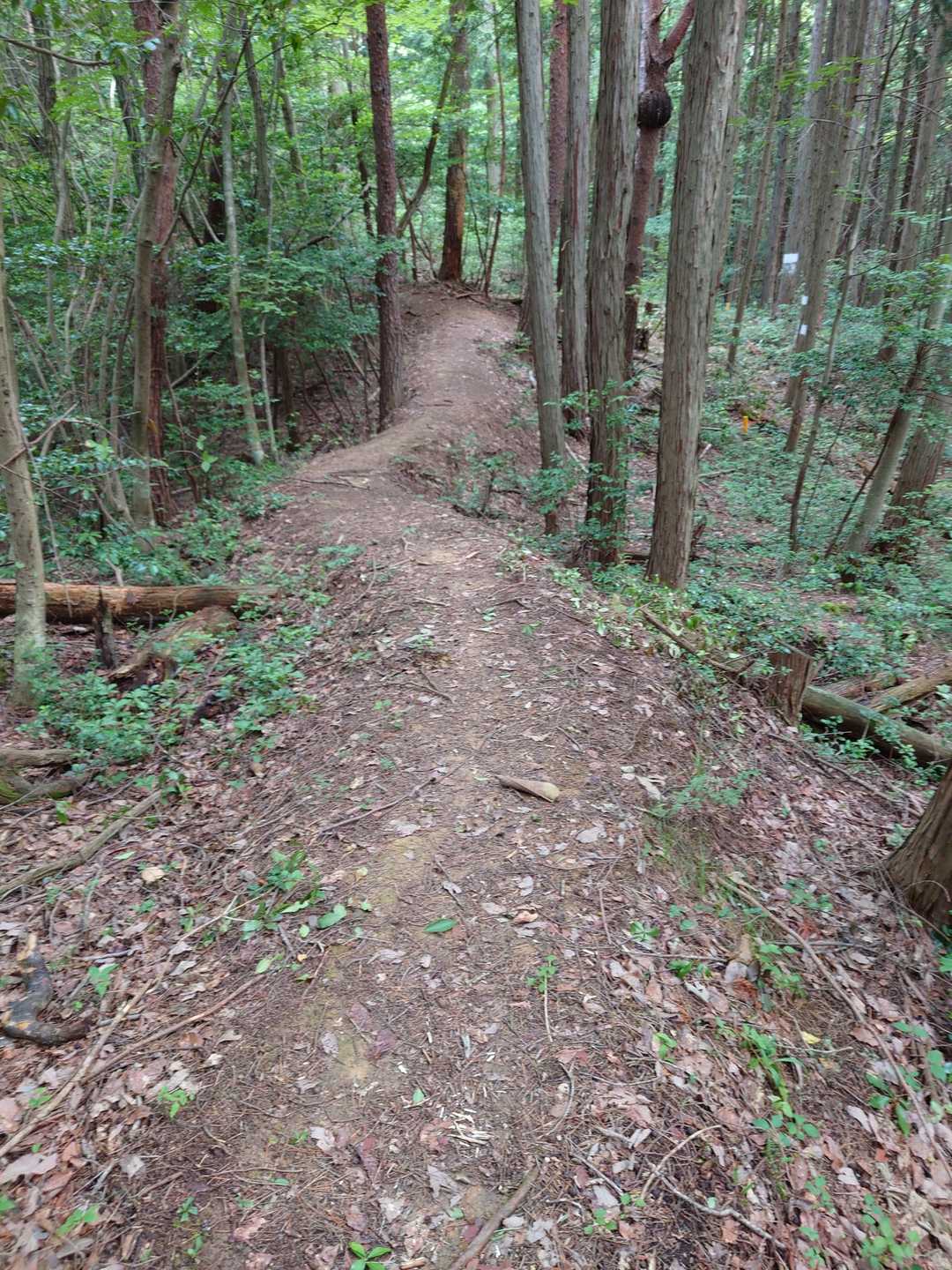 ここら辺りが戦国大名尼子氏が山陰と、山陽を結んだ古道かな🤔
