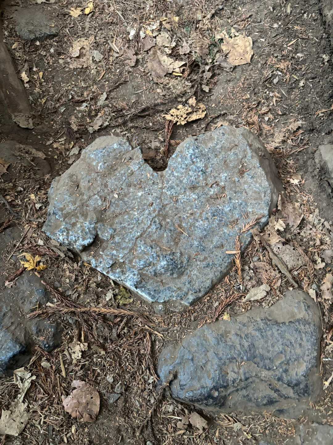 ハート石❤️