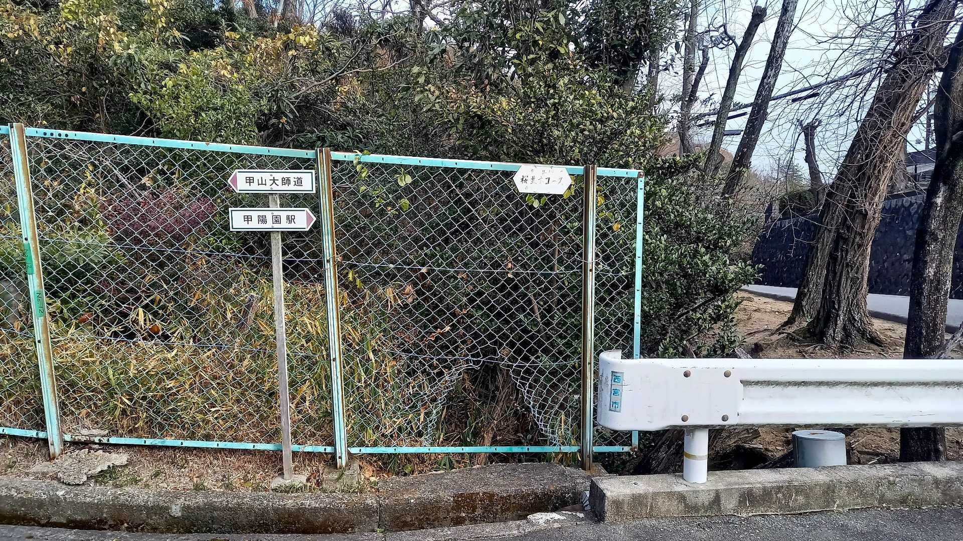 どんどんがしかし舗装路を登る🚶💦
って、六甲山南斜面はこういう感じが多いよね。。
