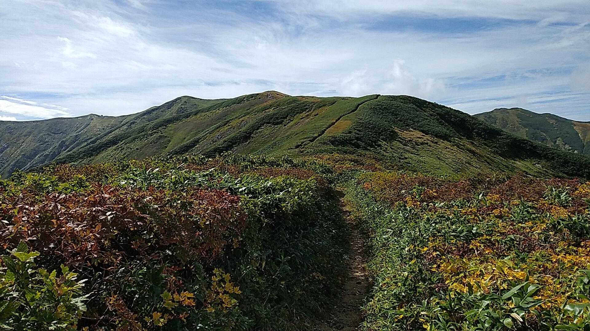 天狗平コース登山口-丸森峰-頼母木山-地神山-梶川峰-湯沢 周回コースの写真