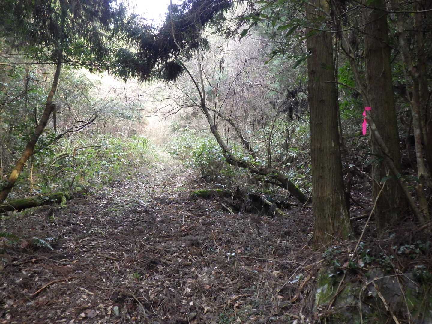 ここから狭い道