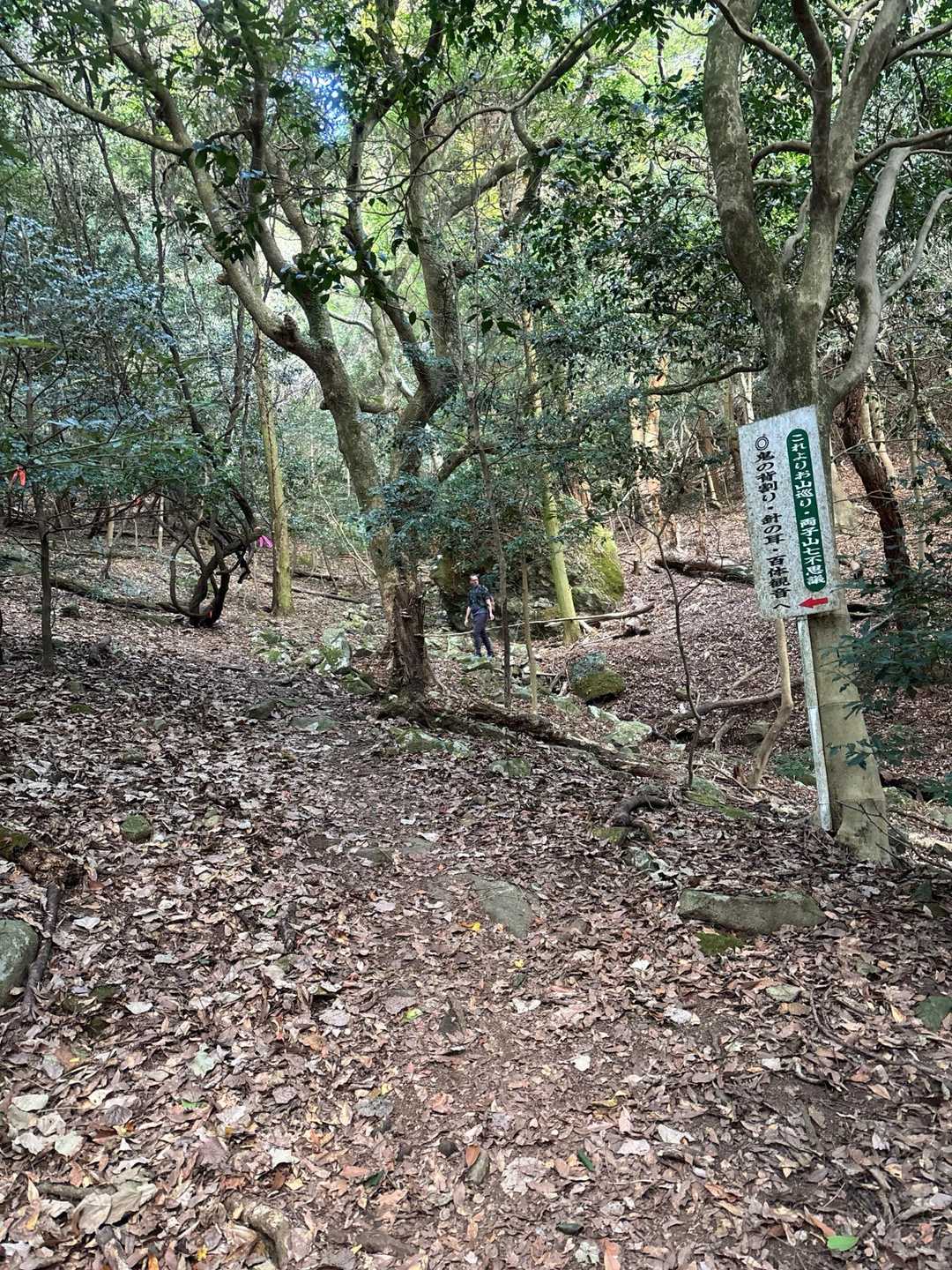 登山者きてますが
やはり　インバウンドの方
キョロキョロしてたので　上👆　山頂行くか？！と
聞いてみた
って　手振り身振りでね😜
したら
向こうは　ののーのーの
🌀🌀　と　手を回す😝

つまり　このルートで山頂へは行かない方が良か❣️と、言いたかったんです