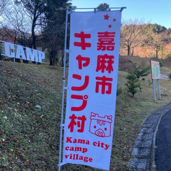 イノシシ、いっぱいいそうですもんね。