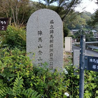 頑張ります