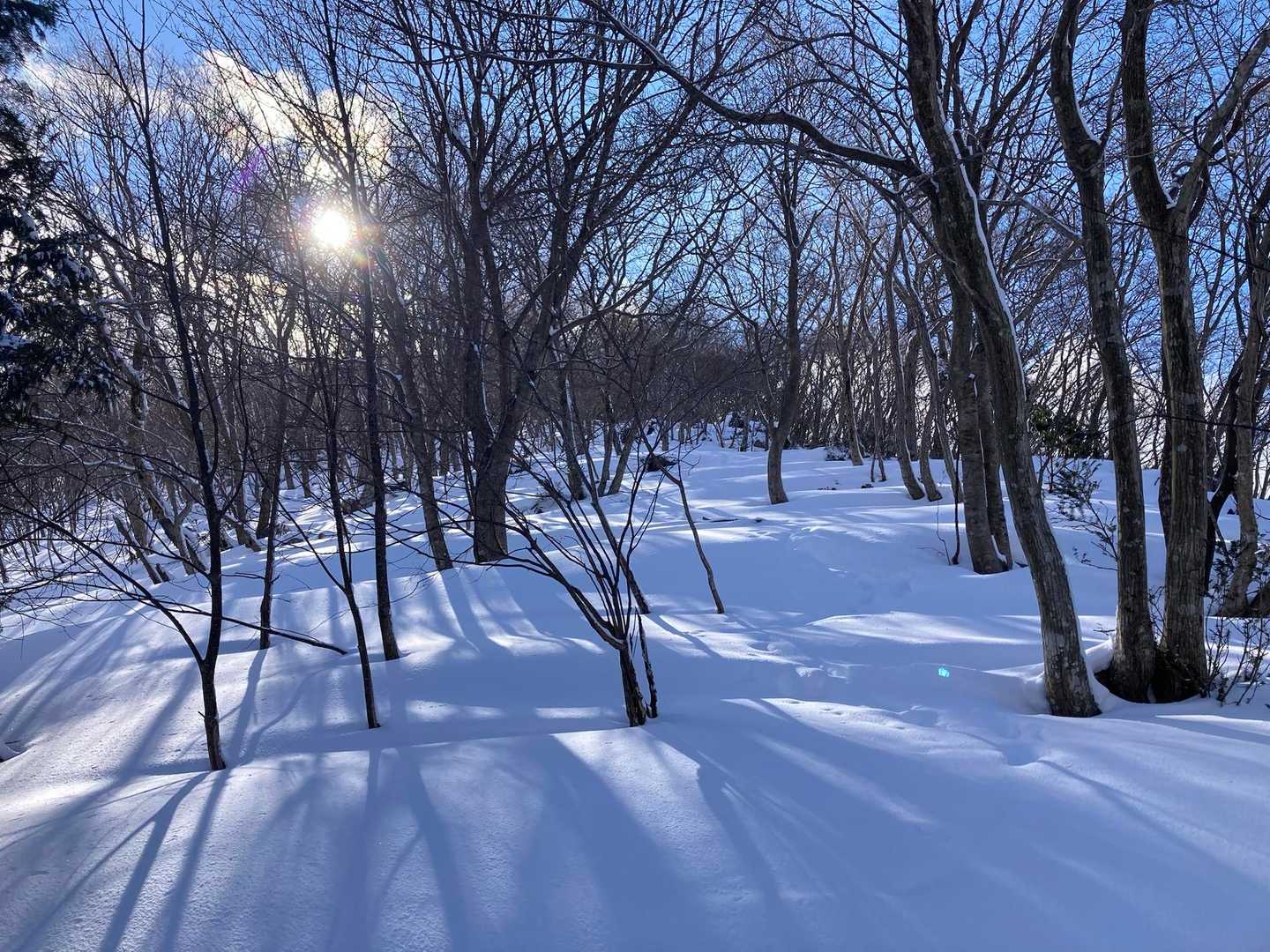 天狗の森公園登山口-飯盛山 往復コースの写真