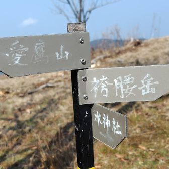 愛鷹山と馬場平との鞍部（稜線）に到着💡午前9時38分。駿河湾方向の眺め良し👀右に進めば馬場平を越えて袴腰岳、位牌岳に続く愛鷹山塊稜線ルート✨