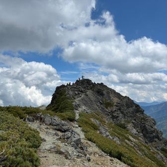 山頂をすぐ譲る。