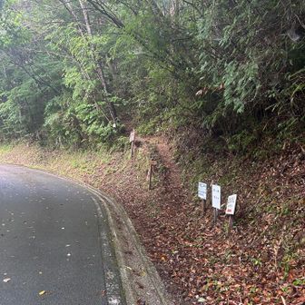 笹ヶ峰登山口なのだが、林道が狭くて駐車スペースが近くに無い