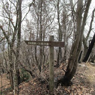 ここから下ります。