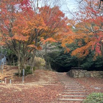 晩秋の皿倉山は冬を迎えようとしている😆
