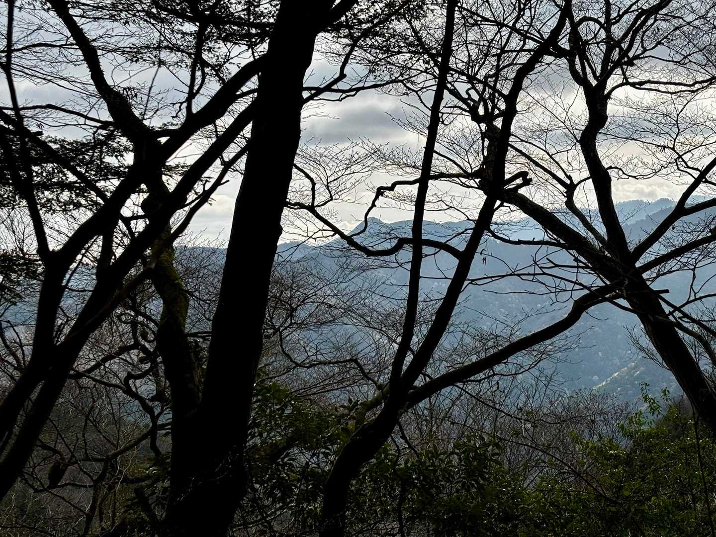 以前登った遠見山が見える