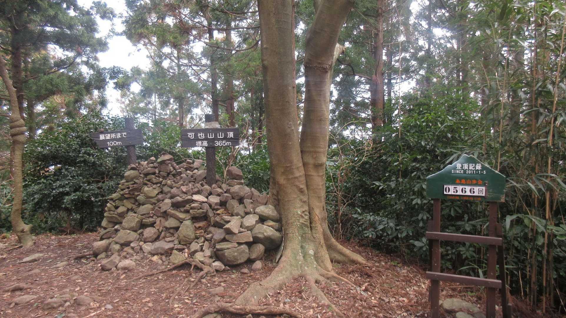 山頂。
