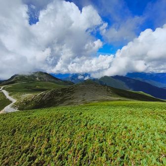 大黒岳は山頂で引き返す予定でしたが進みました。中央で雲がかかってるのは焼岳でしょうか。乗鞍岳を構成するグレーピークも見えます。