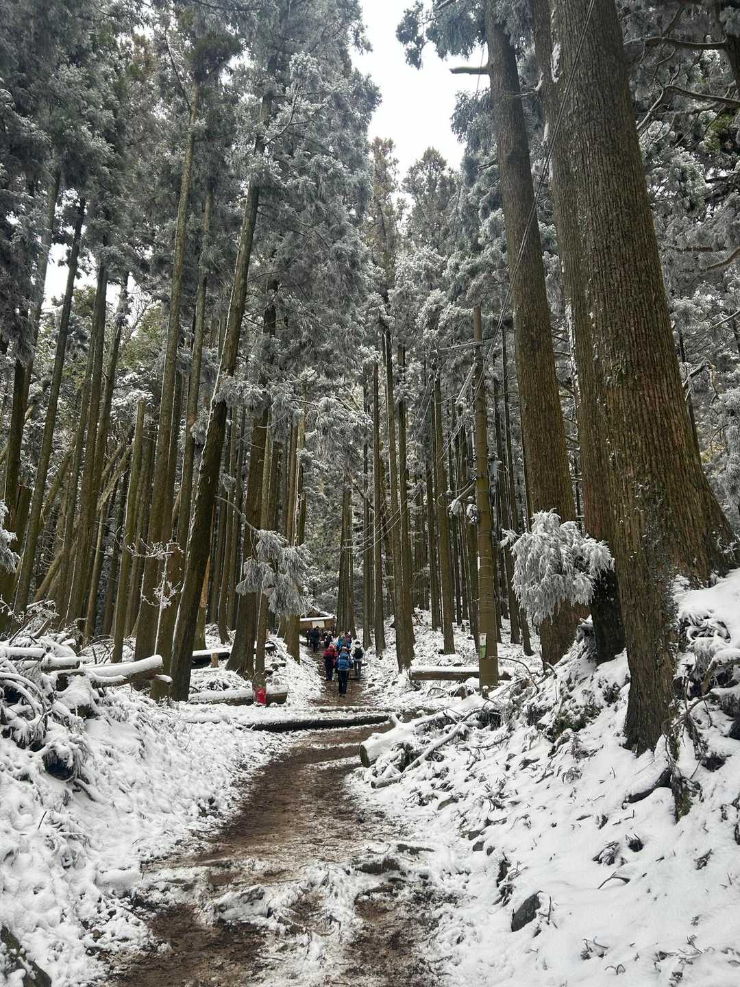 愛宕神社参詣表登山道入口-サカサマ峠 周回コースの写真