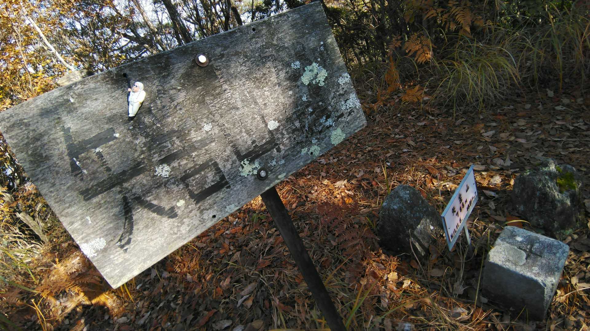 とうちゃけ✋
しかしYAMAP地図上だとちょい先のピークが高くて矢筈山の表記なのでそちらにも行ってみます🧐✨