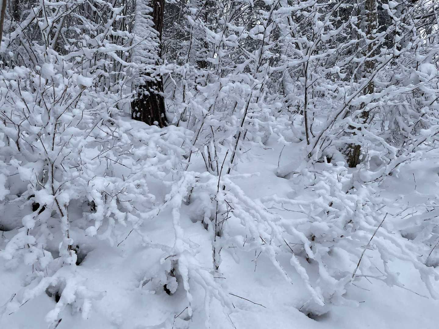 水晶山神社-水晶山 往復コースの写真
