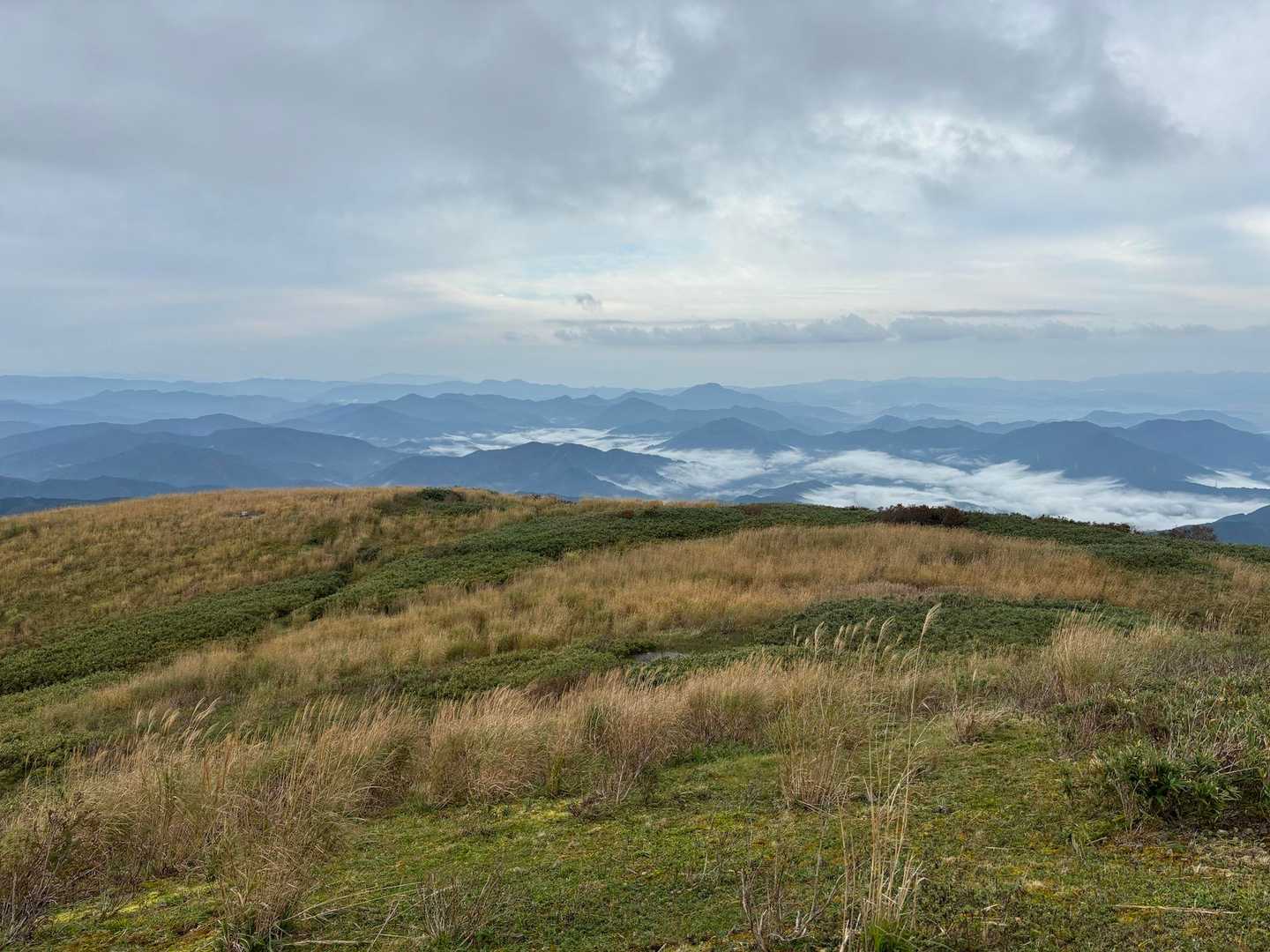 牧場の頃はここらへんが牧草地で🐄牛とか歩いてたのかな〜。
