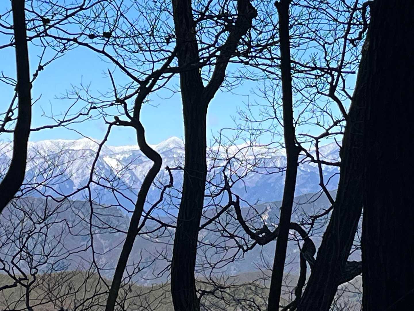 雪をかぶると存在感👍
平地から眺めるのと違った迫力がすごい！

木を…って思ってしまうけど、崩れている所多いから無理なんだろうなぁ🤔
