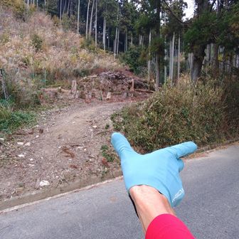 小関峠に出ました👌
今日はここから疏水さんぽ道を山科へ向かいます。下りだけだし楽勝😁
写真は撮り忘れたけど、竪坑や揮毫を見て🥸今日はオシマイ💨
