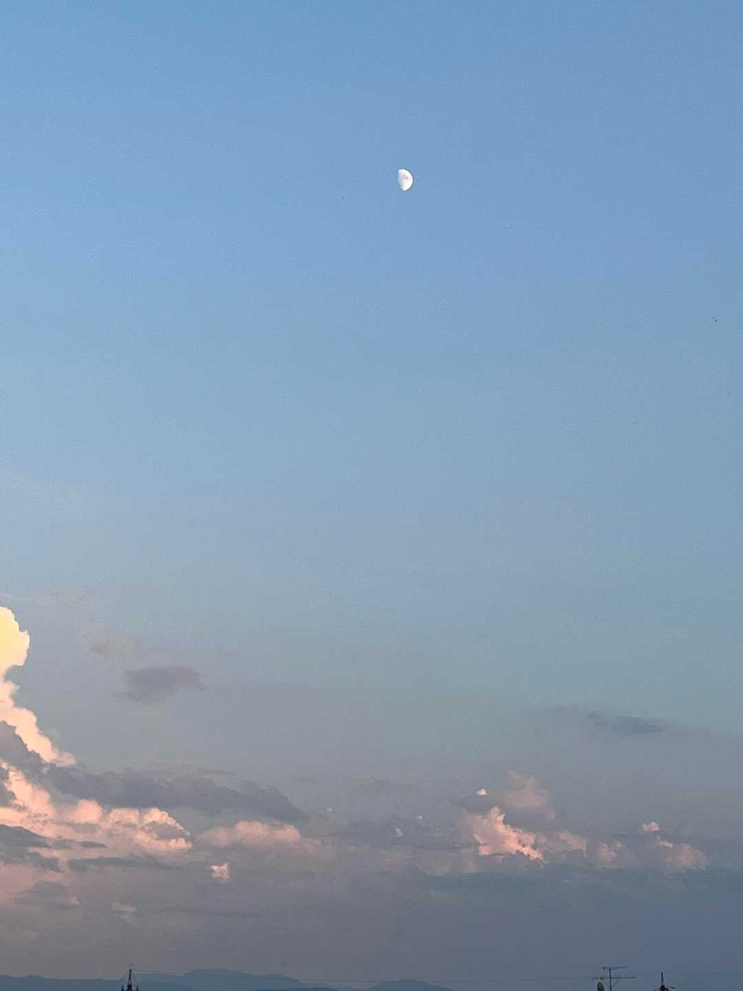 お月様が見えた