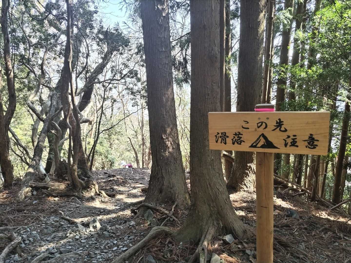 椿大神社バス停-入道ヶ岳北尾根コース登山口-入道ヶ岳 縦走コースの写真